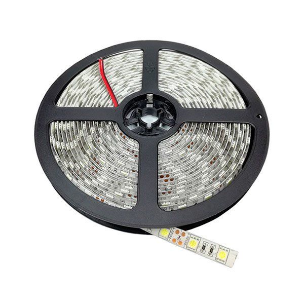 53_505030ip BANDA LED 5050 30 SMD/m ROSU -IMPERMEABIL - imagine 1